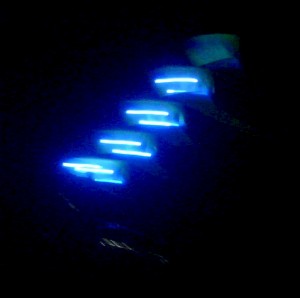 'Kites with Lights'.  BlackBerry didn't get the best picture, but it was still cool!